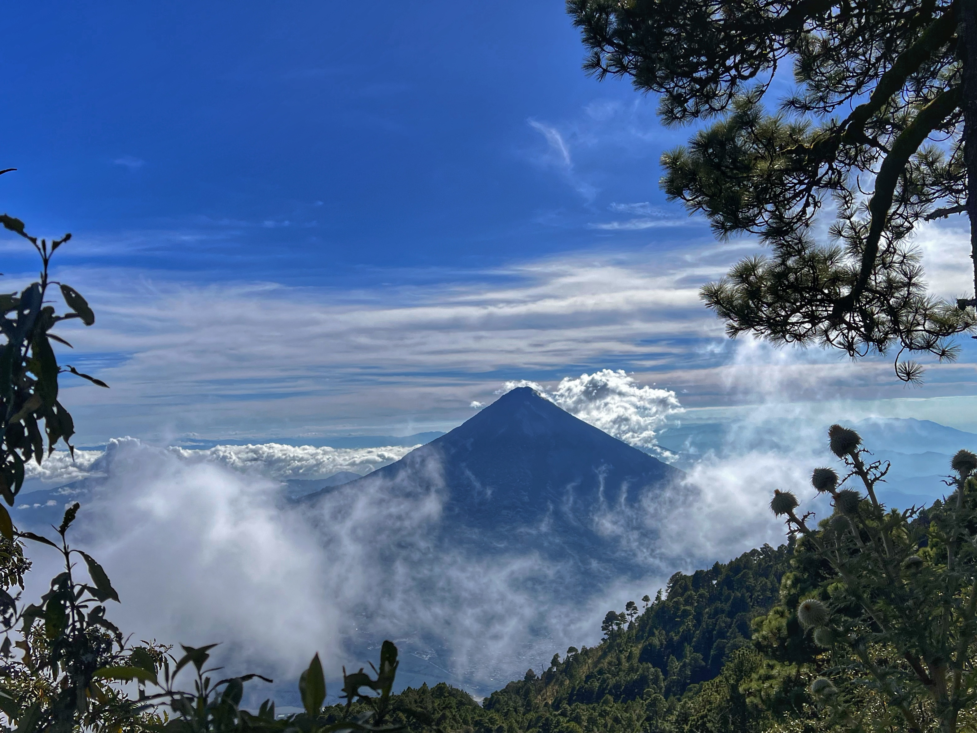 Volcán de Agua rising above clouds in Guatemala, framed by trees along a hiking trail